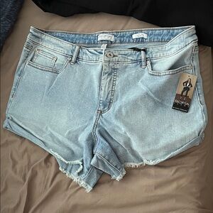Sofia Vergara Women's Light Blue Denim Shorts size 16